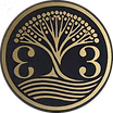 YAFEI 33 Logo
